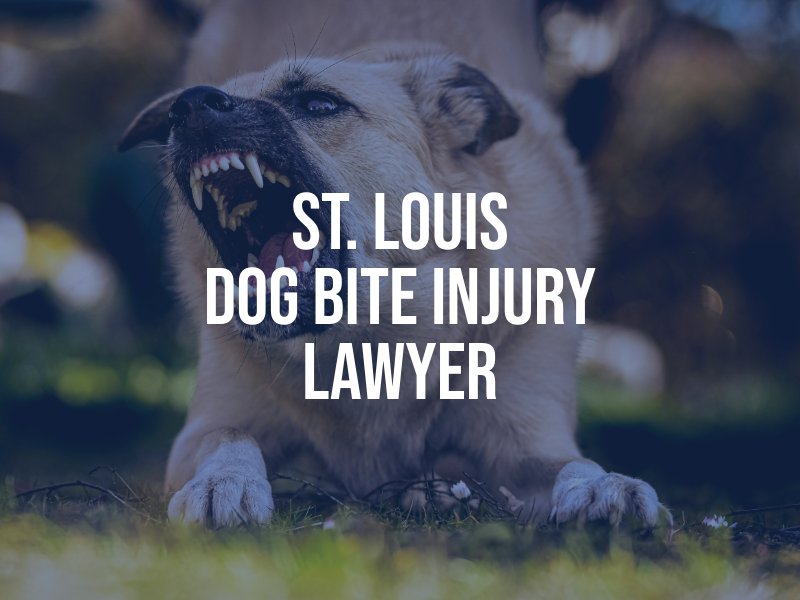 St. Louis Dog Bite Injury Lawyer