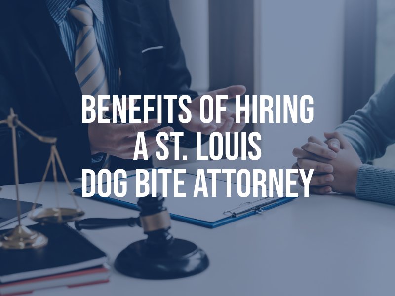 Benefits of Hiring a St. Louis Dog Bite Attorney
