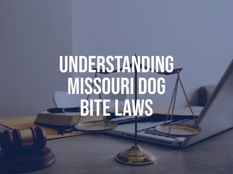 Understanding Missouri Dog Bite Laws