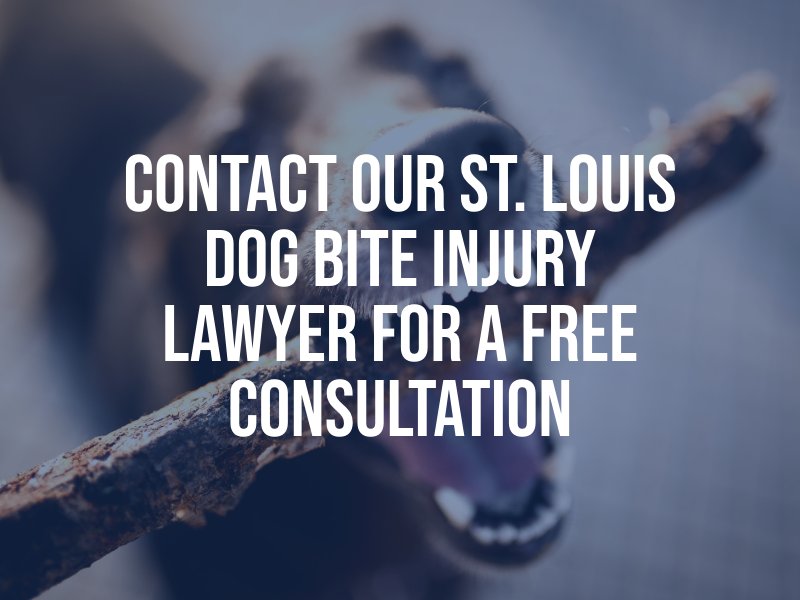 Contact Our St. Louis Dog Bite Injury Lawyer For A Free Consultation