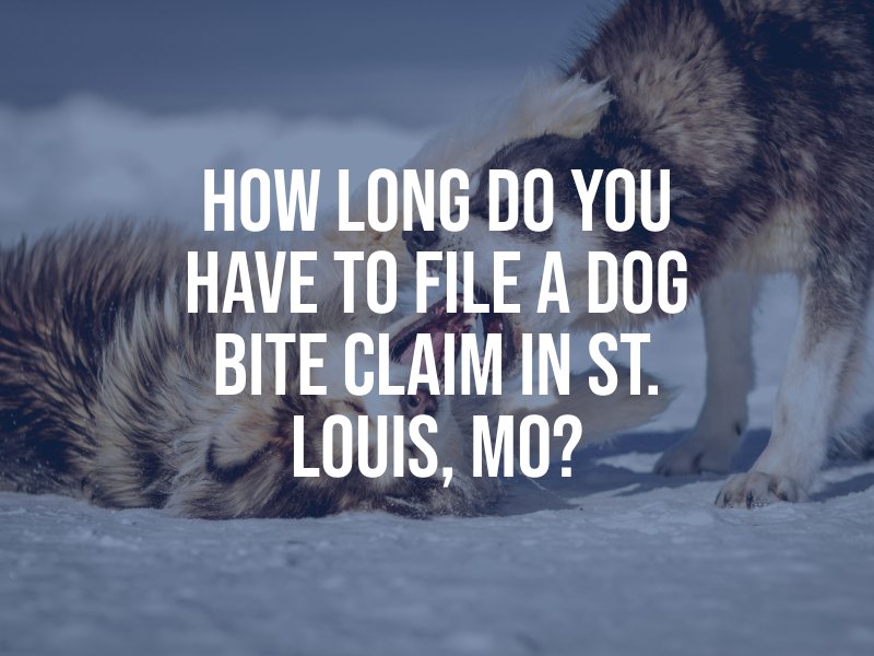 How Long Do You Have to File a Dog Bite Claim in St. Louis, MO?